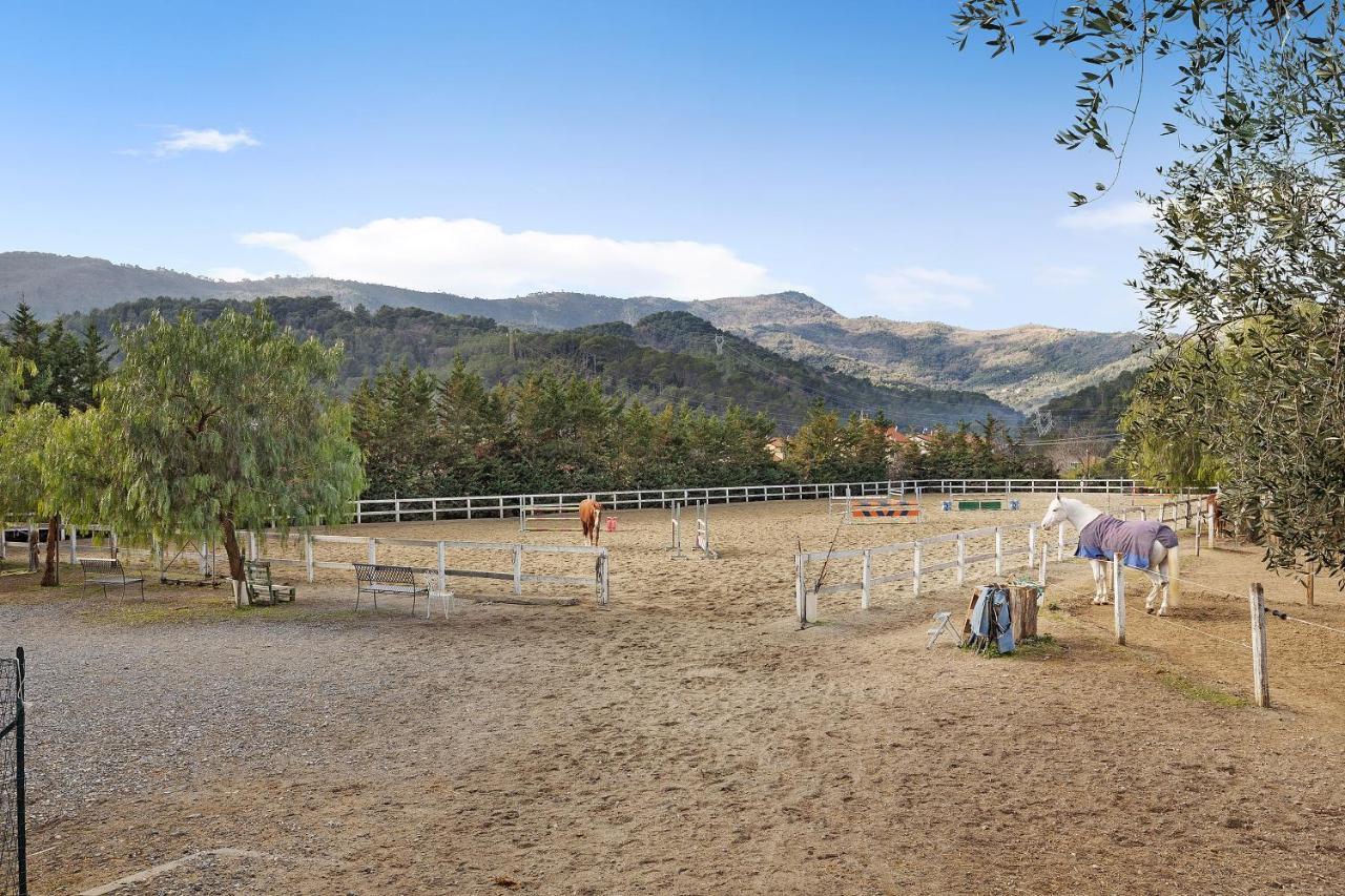 Messalina Agriturismo La Scuderia Molino Nuovo  المظهر الخارجي الصورة